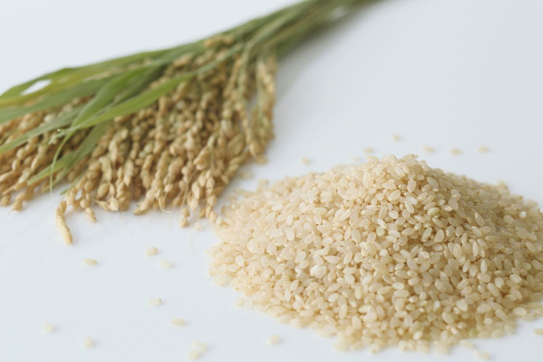 Comment choisir son riz japonais ?