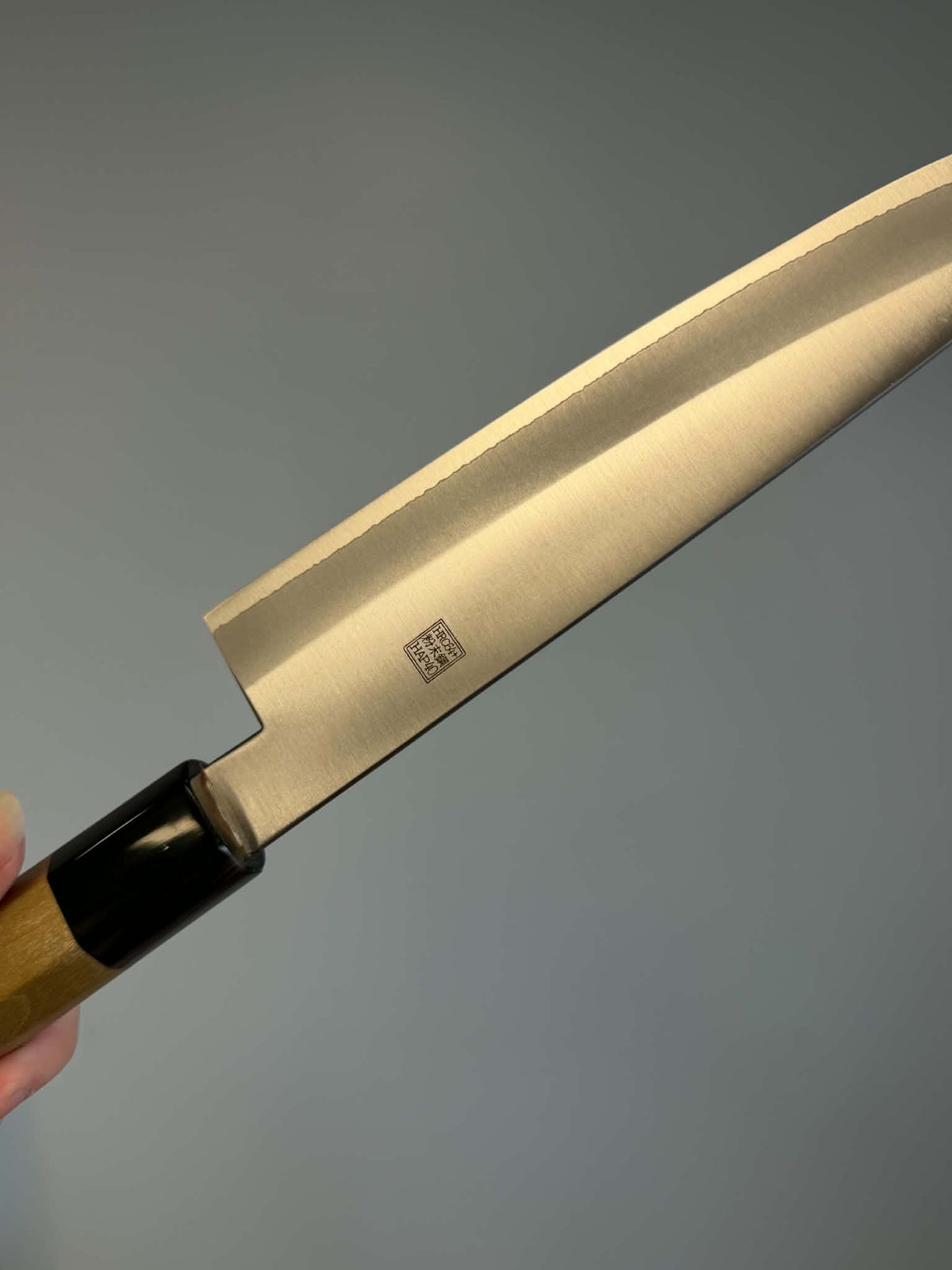 Gyuto Clad-HAP40 210mm - Manche Magnolia